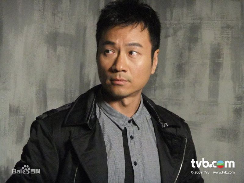 精选黎耀祥(Yiu-Cheung Wayne Lai)精彩图册