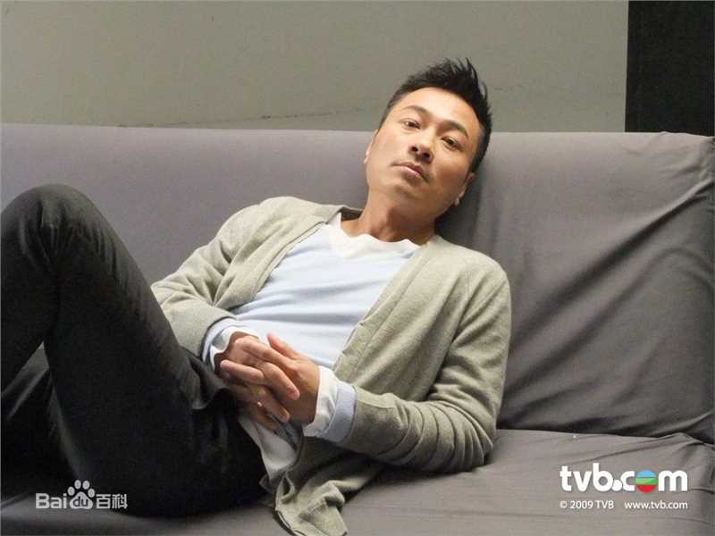 精选黎耀祥(Yiu-Cheung Wayne Lai)精彩图册