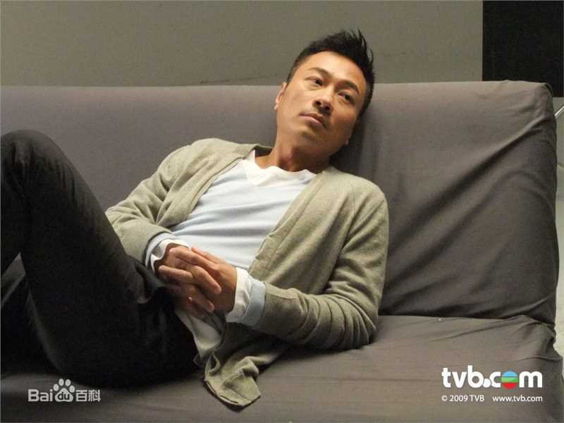 精选黎耀祥(Yiu-Cheung Wayne Lai)精彩图册