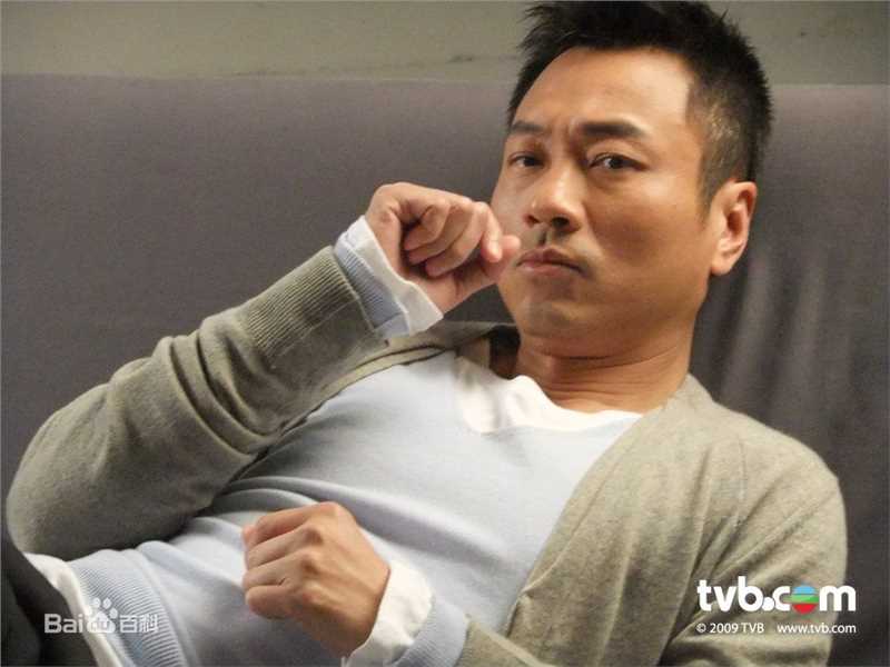 精选黎耀祥(Yiu-Cheung Wayne Lai)精彩图册