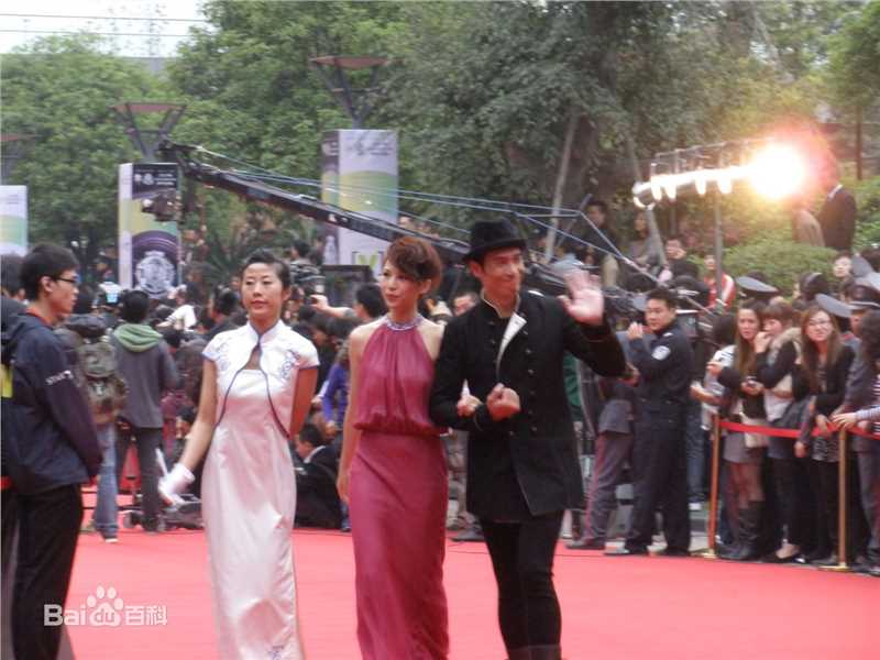 陈豪(Moses Chan)2010年参加榜中榜星光大道及颁奖典礼图片图集