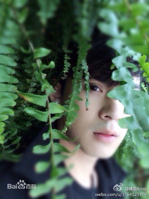 陈奕(Andy Chen)生活照性感图片图集