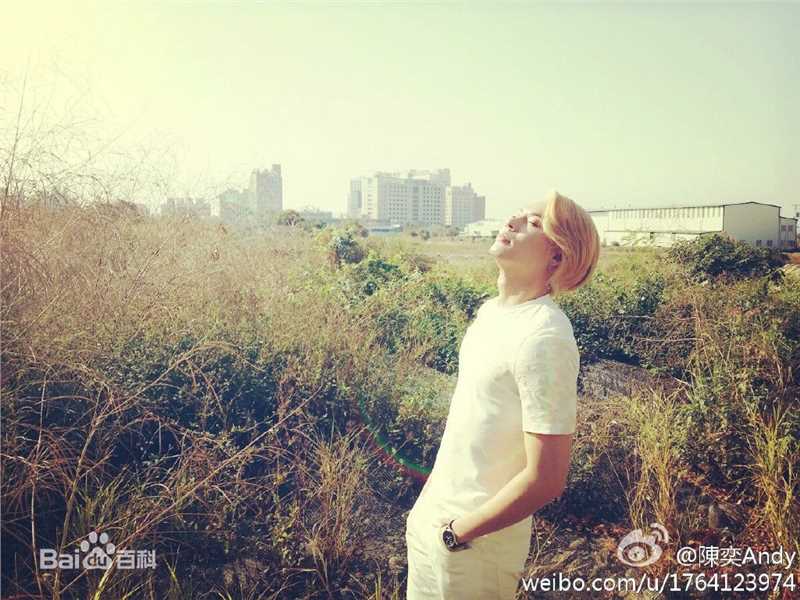 陈奕(Andy Chen)参演现代电视剧性感图片图集