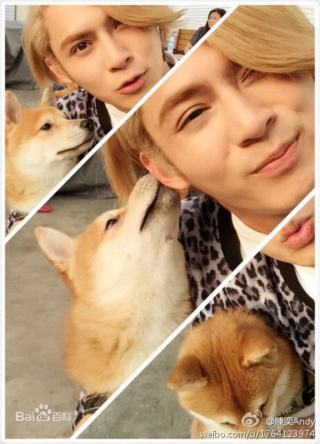 陈奕(Andy Chen)参演现代电视剧性感图片图集