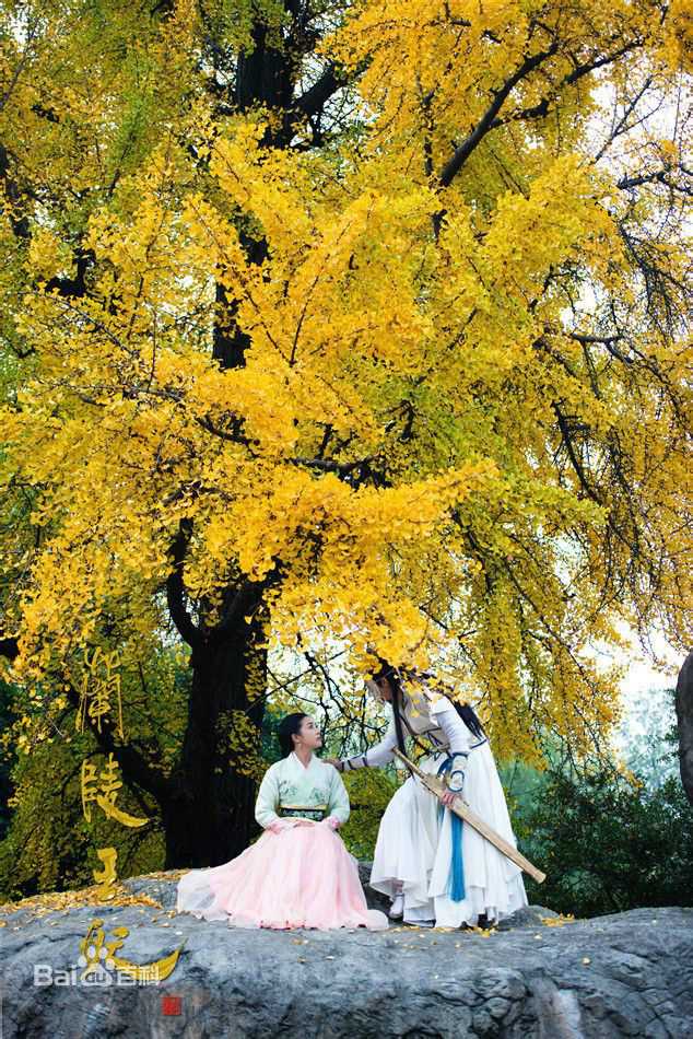 陈奕(Andy Chen)《兰陵王妃》兰陵王高长恭最全剧照