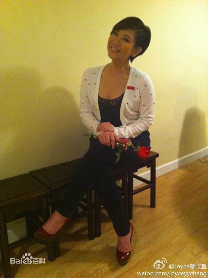 精选郑欣宜(Joyce Cheng)