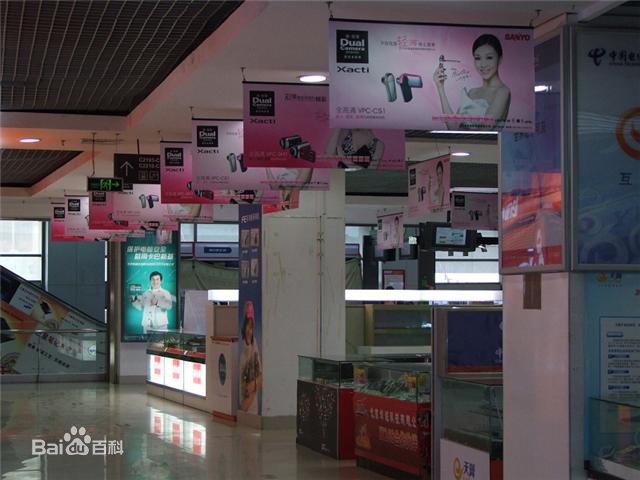 巩新亮(Miumiu)代言三洋发布会及2010三洋新品发布会壁纸壁纸