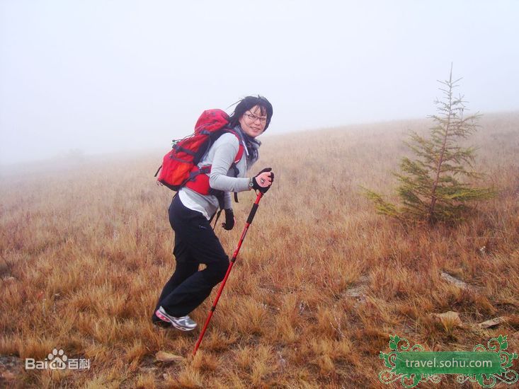 高清巩新亮(Miumiu)精彩图册