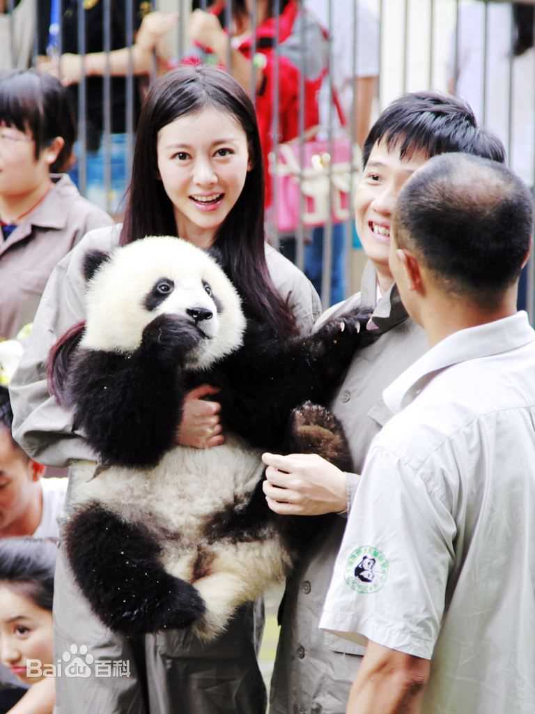 高清巩新亮(Miumiu)图片