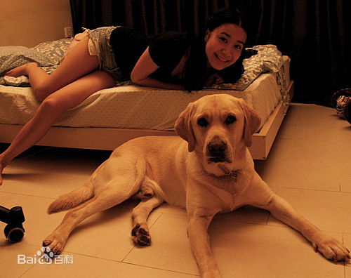 吴雨霏(Kary Ng)blog壁纸壁纸