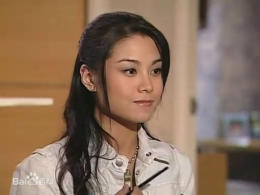 廖碧儿(Bernice Jan Liu)电视剧集 精选剧照