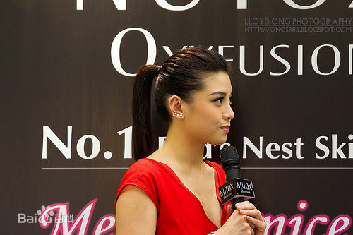 廖碧儿(Bernice Jan Liu)代言活动壁纸壁纸