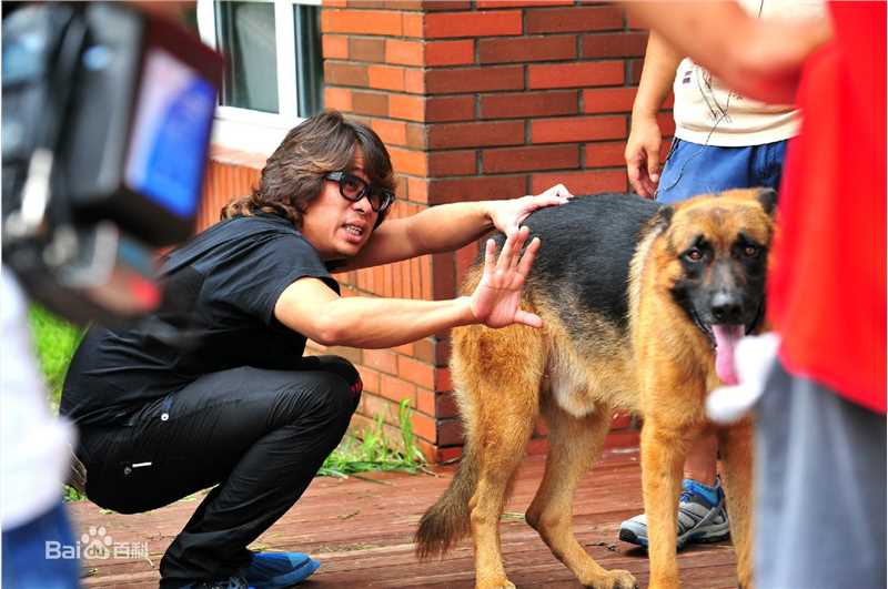 朱锐斌(CHU YUI PAN（Grammy）)导演工作照生活照相册