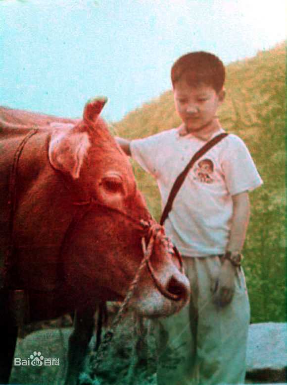 卢卓小灿的成长图片图集