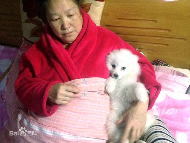 卢卓小灿的成长图片图集