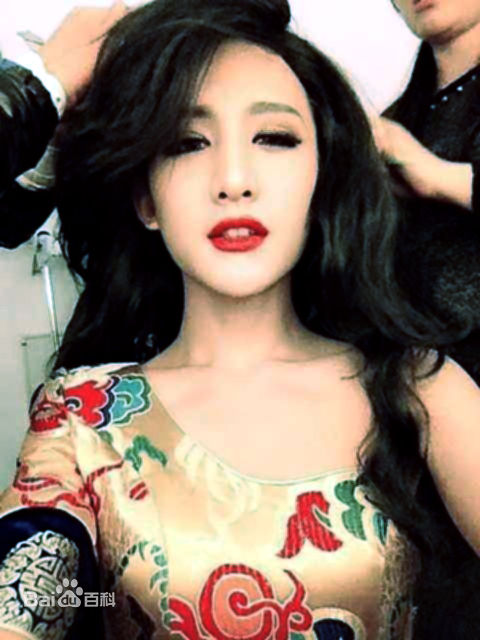 卢卓百变造型图册