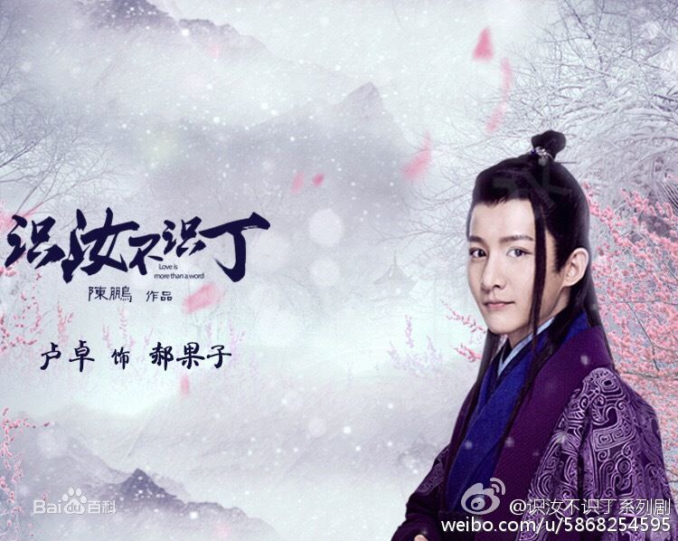 卢卓在《识汝不识丁》中的