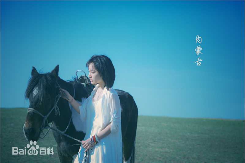 徐申东(Mify)马语者图片图册