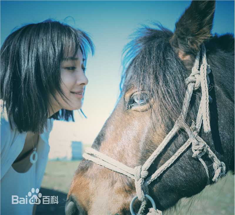 徐申东(Mify)马语者图片图册