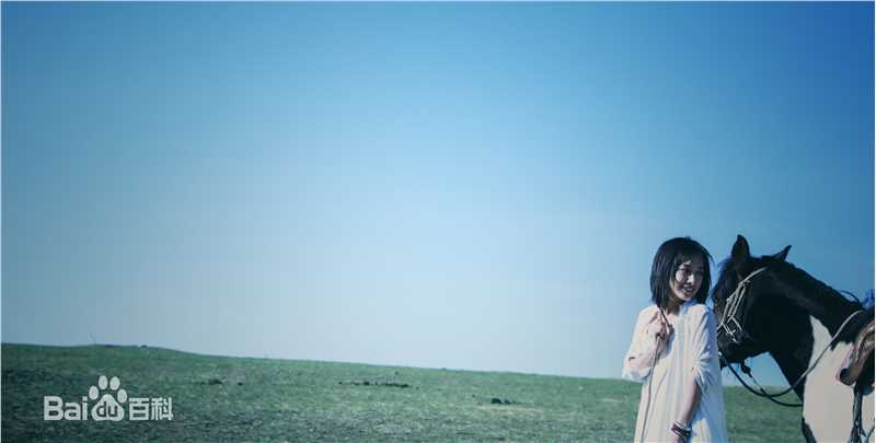 徐申东(Mify)马语者图片图册