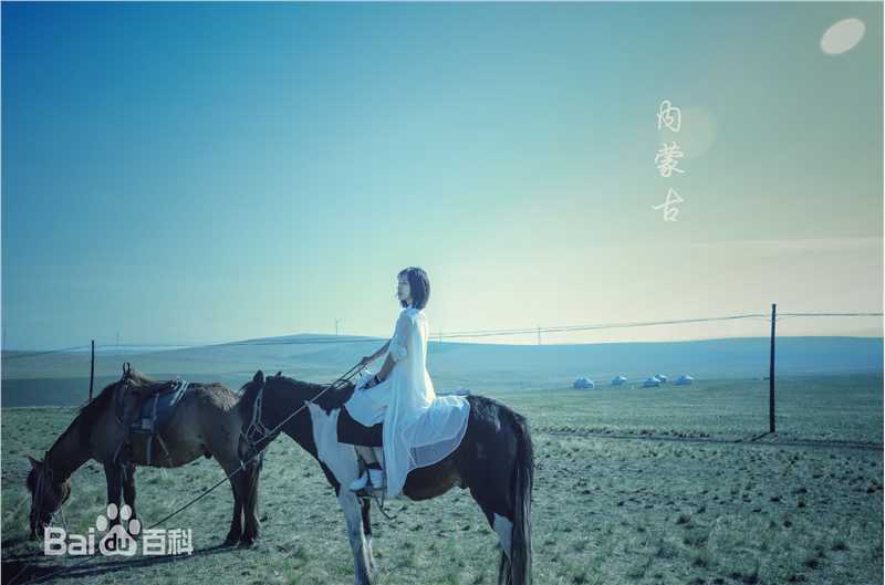 徐申东(Mify)马语者图片图册