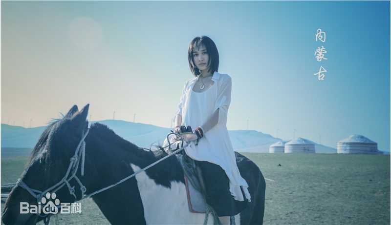 徐申东(Mify)马语者图片图册