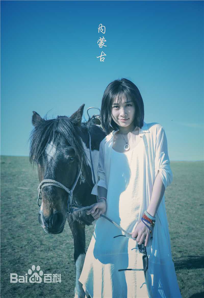 徐申东(Mify)马语者图片图册