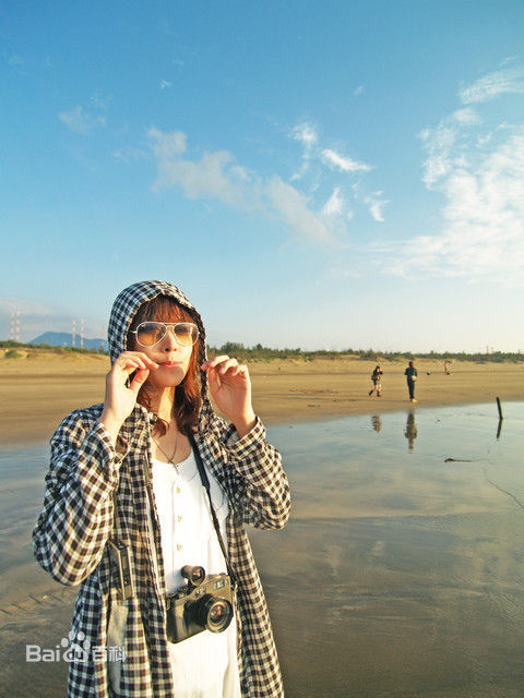 蒋雅文（蒋文迪）(Mandy Chiang)精选海报图册