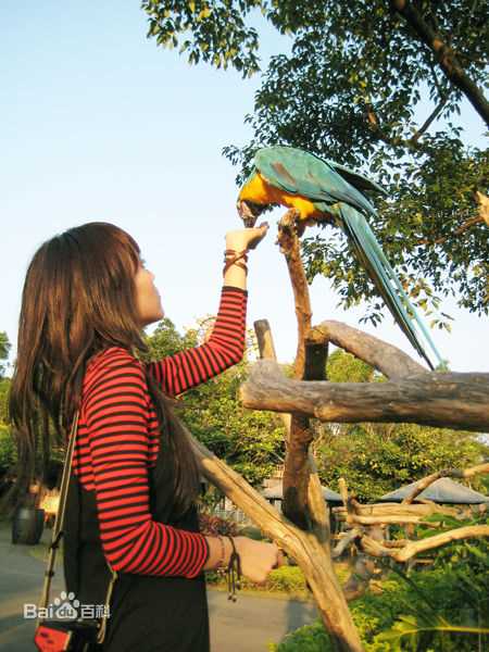 精选蒋雅文（蒋文迪）(Mandy Chiang)蒋雅文精彩图册