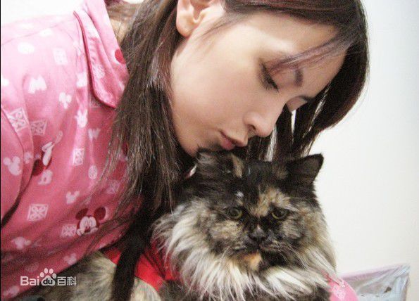 精选蒋雅文（蒋文迪）(Mandy Chiang)蒋雅文精彩图册