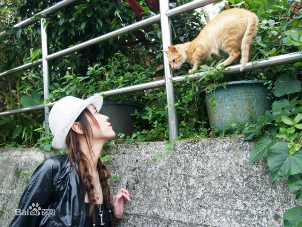 精选蒋雅文（蒋文迪）(Mandy Chiang)蒋雅文精彩图册