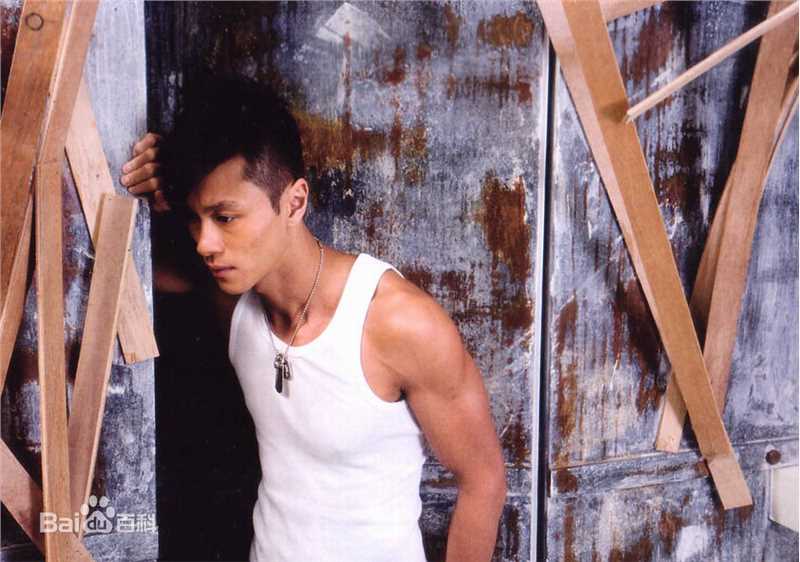 黄浩然(Raymond)参加活动壁纸壁纸