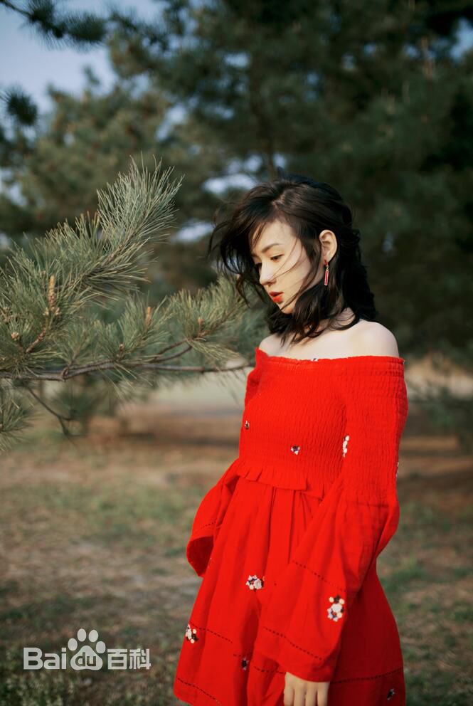 郑合惠子高清个人1图集