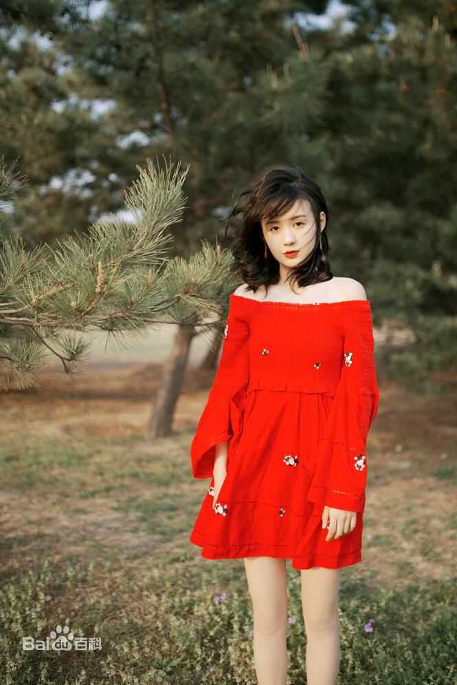 郑合惠子高清个人1图集