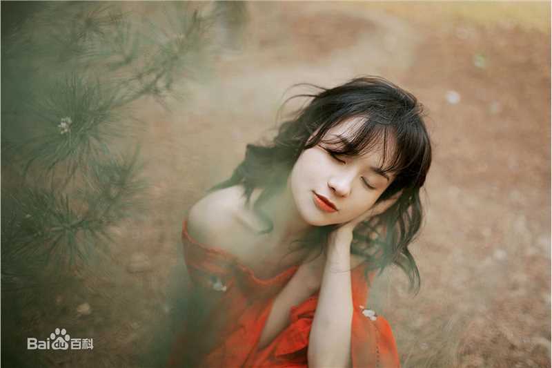 郑合惠子高清个人1图集