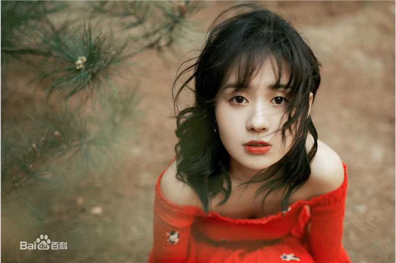 郑合惠子高清个人1图集