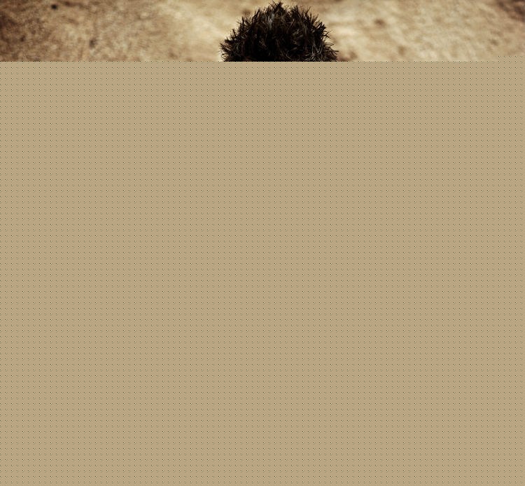 高梓淇(jiame)精选图册