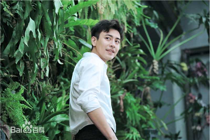 最全刘凯素颜照