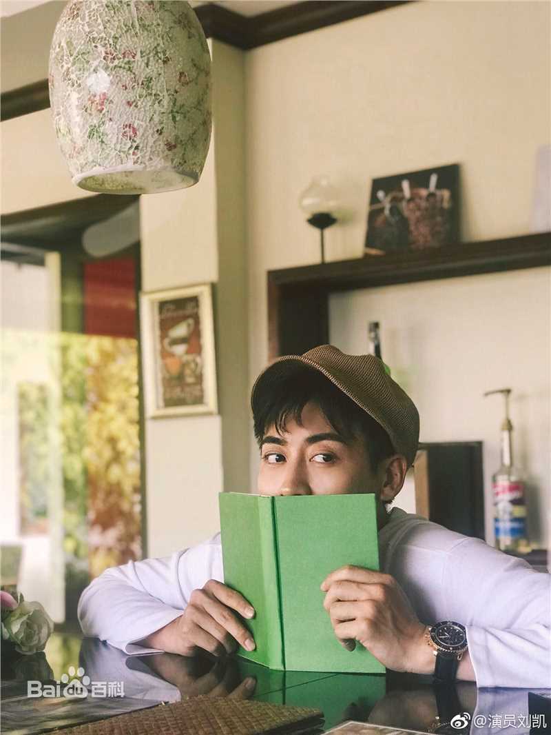 刘凯街拍素颜照相册