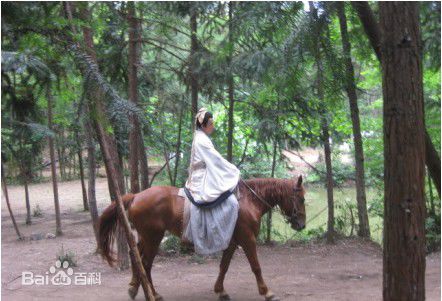 李智楠(Kelvin Lee)2011年《王的女人》剧照