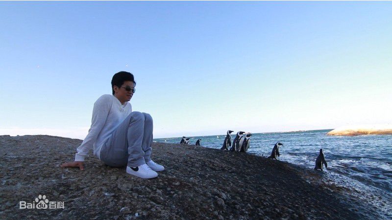 李健(Li Jian)2010年开普敦之行图册