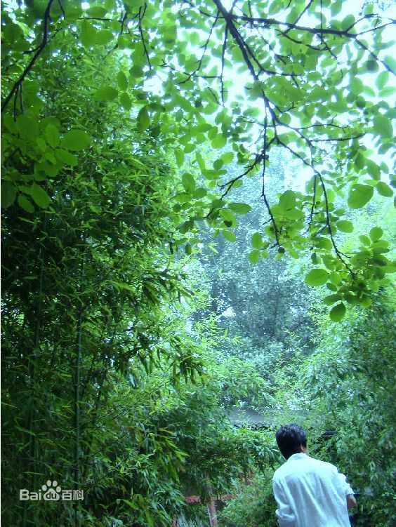 李健(Li Jian)遥远的天空底下图片图册