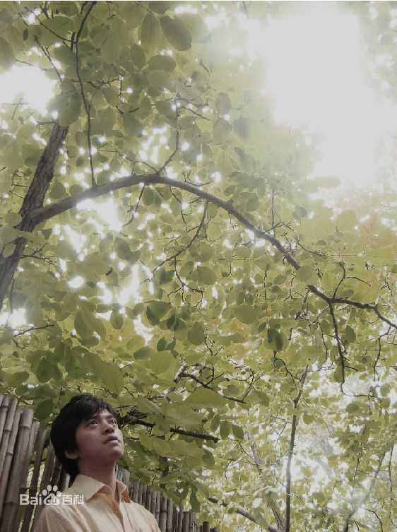 李健(Li Jian)遥远的天空底下图片图册