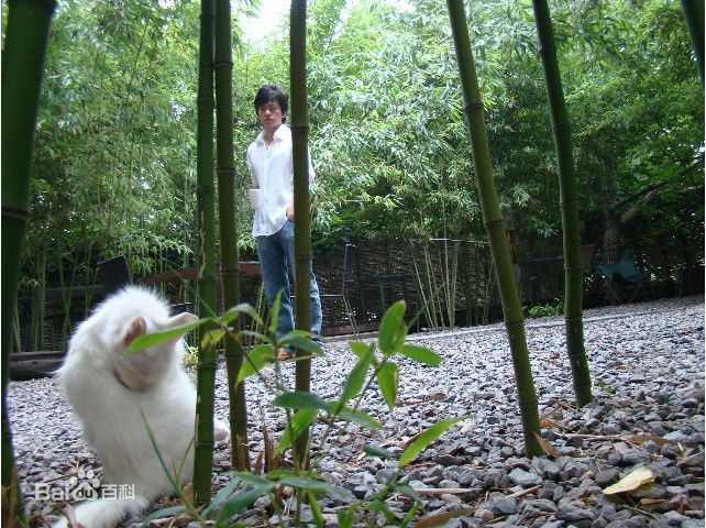 李健(Li Jian)遥远的天空底下图片图册