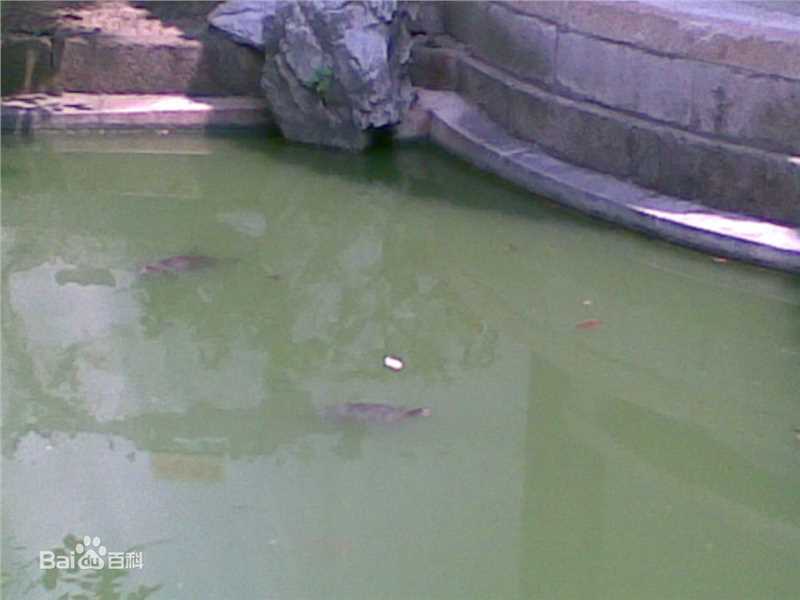 于谦画像及相关形象、遗迹前后照片