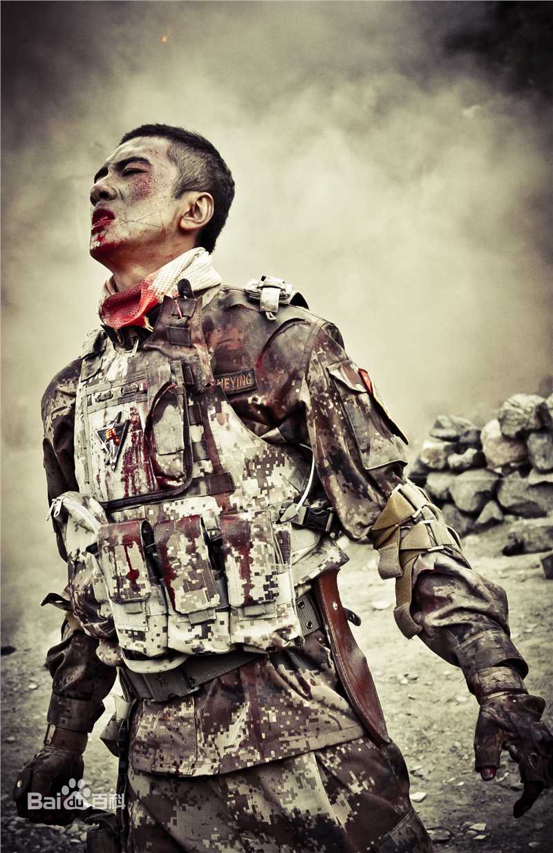 肖顺尧(Aero)雪域雄鹰（又名：8848）图册