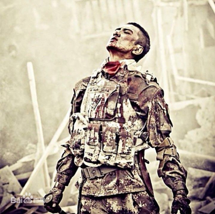 肖顺尧(Aero)雪域雄鹰（又名：8848）图册