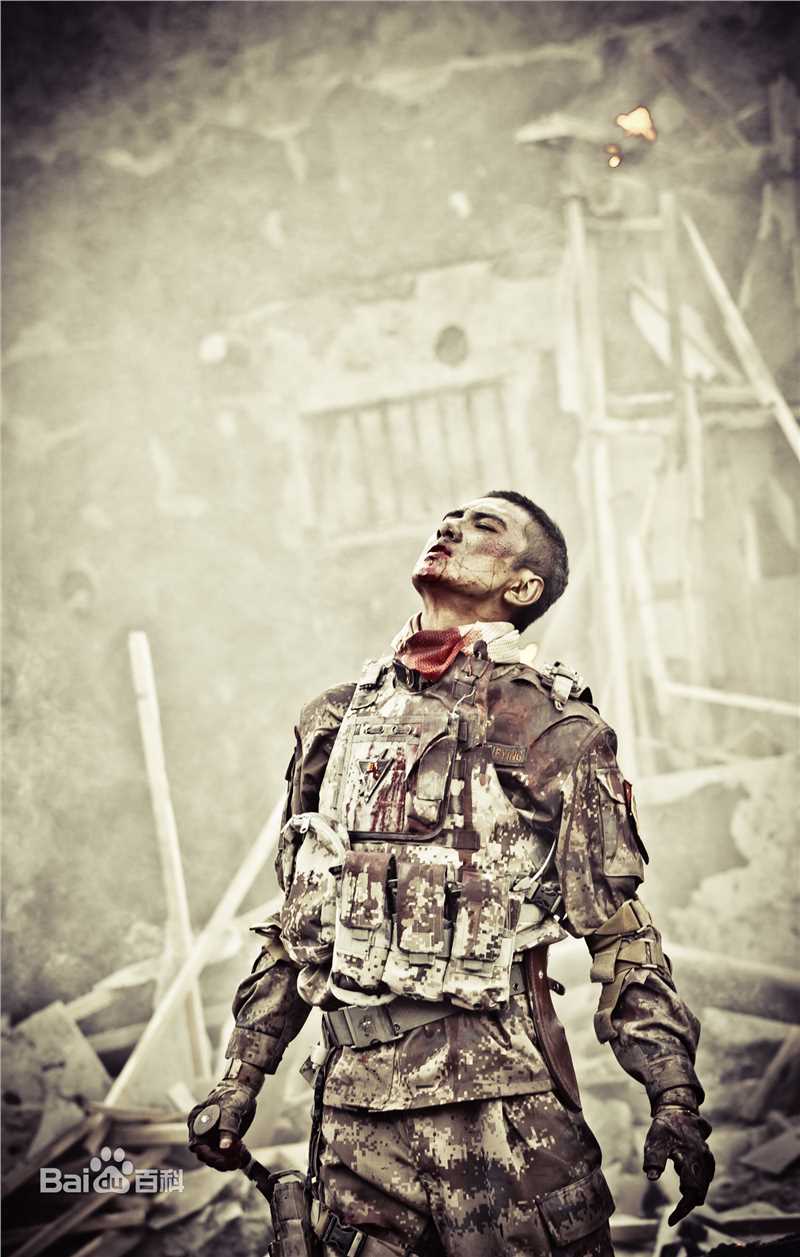 肖顺尧(Aero)雪域雄鹰（又名：8848）图册