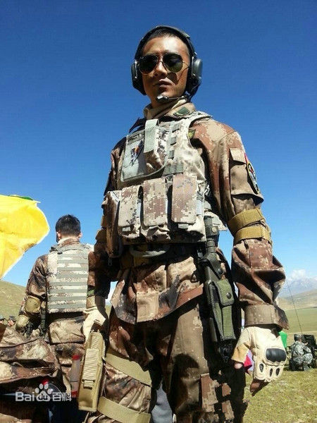 肖顺尧(Aero)雪域雄鹰（又名：8848）图册