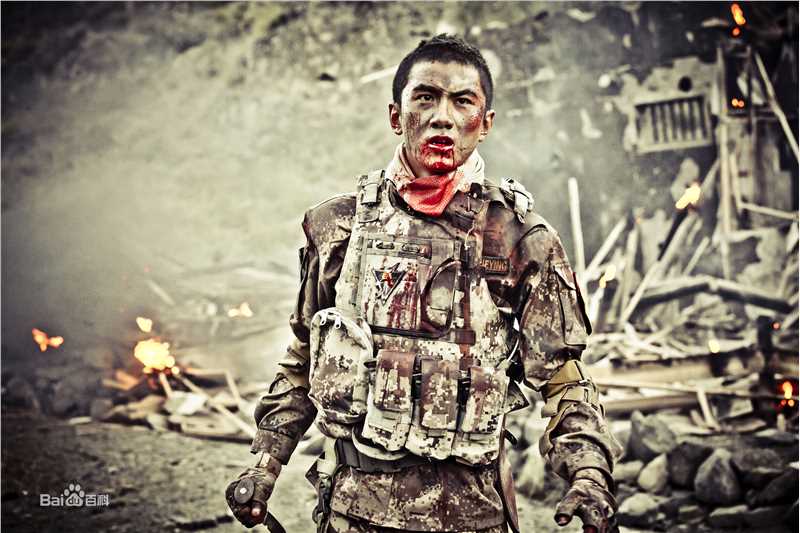 肖顺尧(Aero)雪域雄鹰（又名：8848）图册